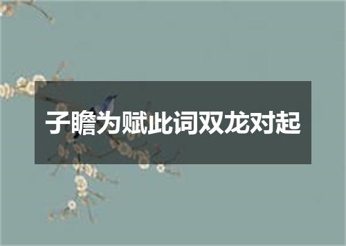 子瞻为赋此词双龙对起