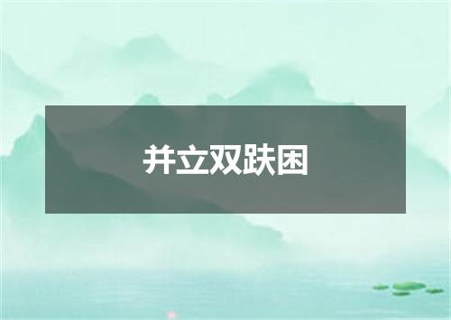 并立双趺困