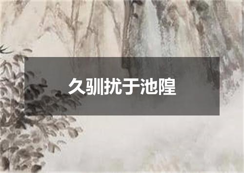 久驯扰于池隍