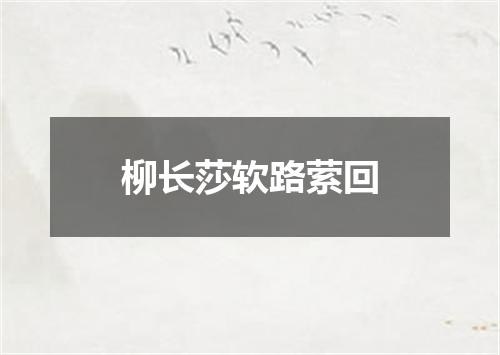 柳长莎软路萦回