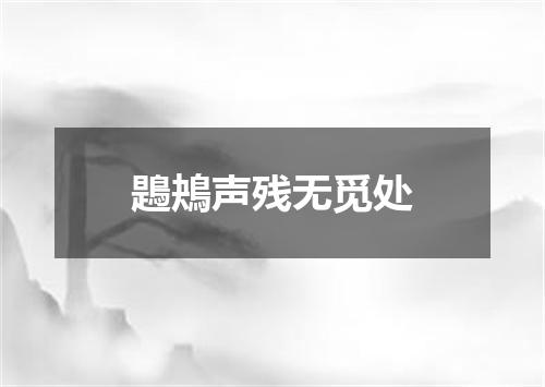 鶗鴂声残无觅处