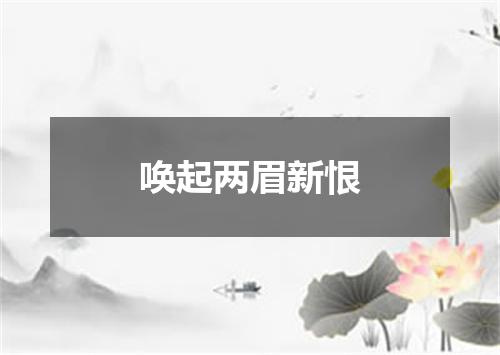唤起两眉新恨