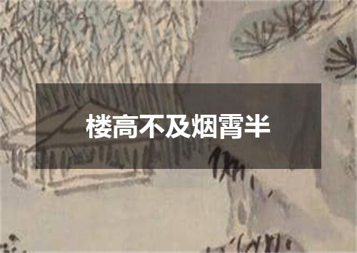 楼高不及烟霄半