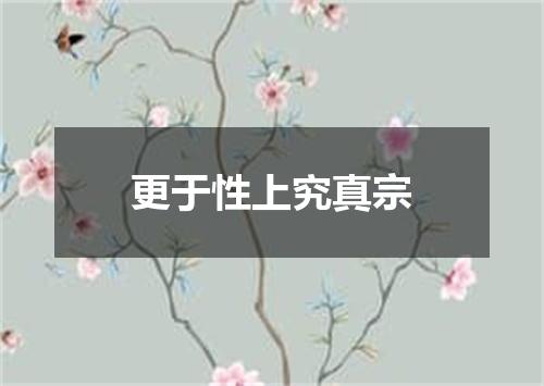 更于性上究真宗