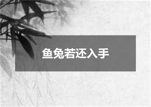鱼兔若还入手