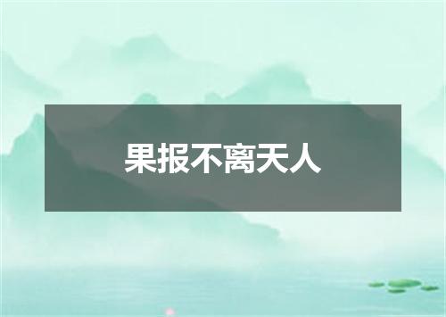 果报不离天人