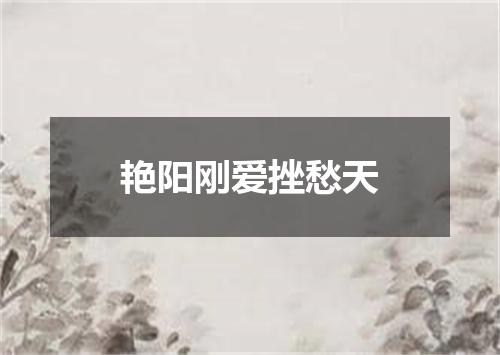 艳阳刚爱挫愁天