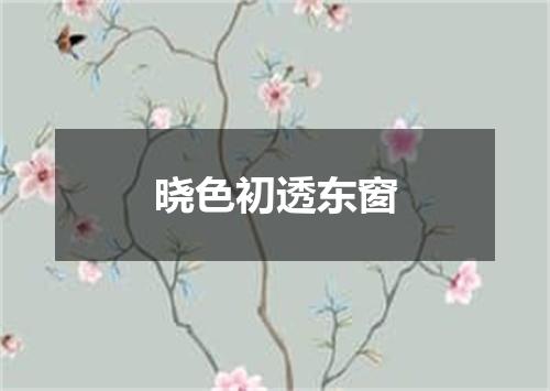 晓色初透东窗
