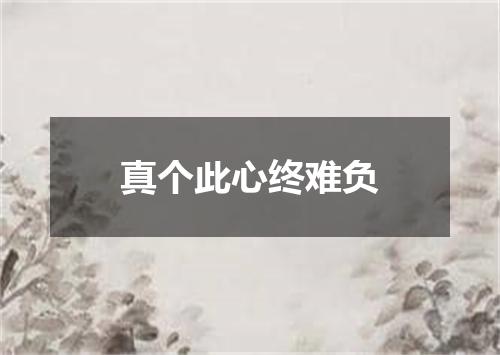 真个此心终难负