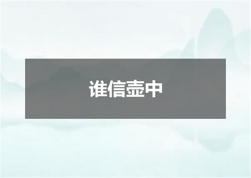 谁信壶中