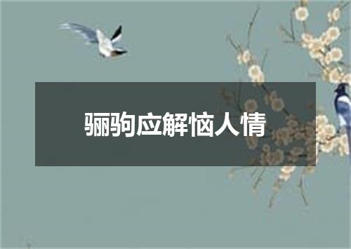 骊驹应解恼人情