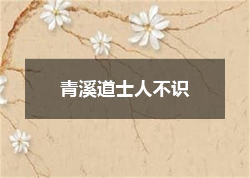 青溪道士人不识