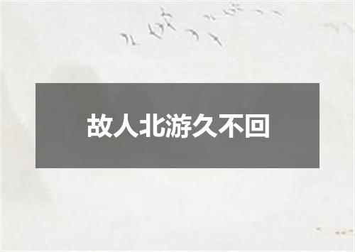 故人北游久不回