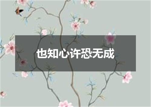 也知心许恐无成