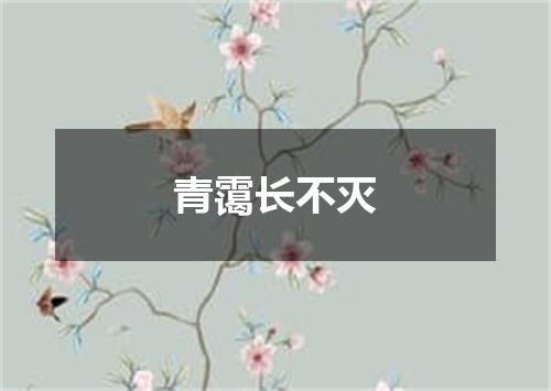 青霭长不灭