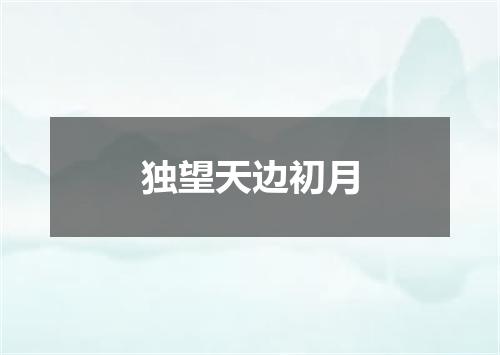 独望天边初月