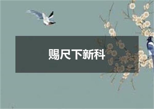 赐尺下新科