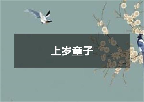 上岁童子