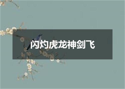闪灼虎龙神剑飞