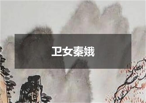 卫女秦娥