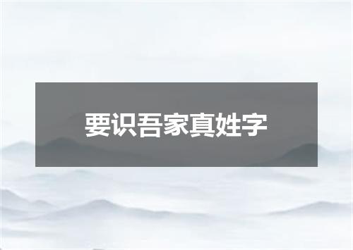 要识吾家真姓字