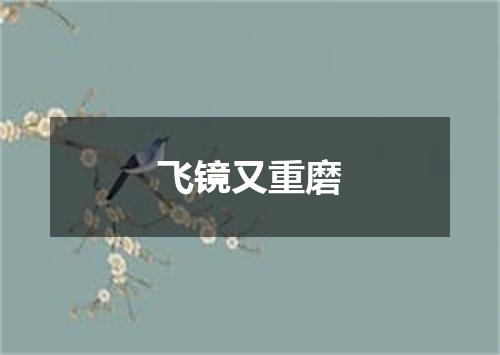 飞镜又重磨