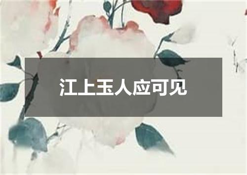 江上玉人应可见