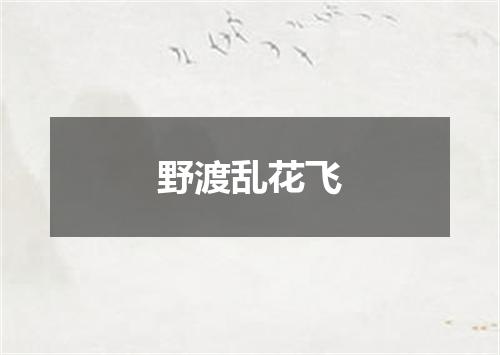 野渡乱花飞