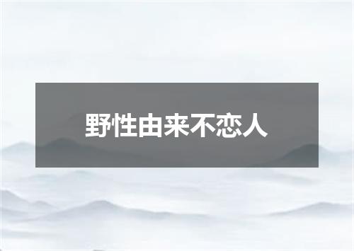 野性由来不恋人
