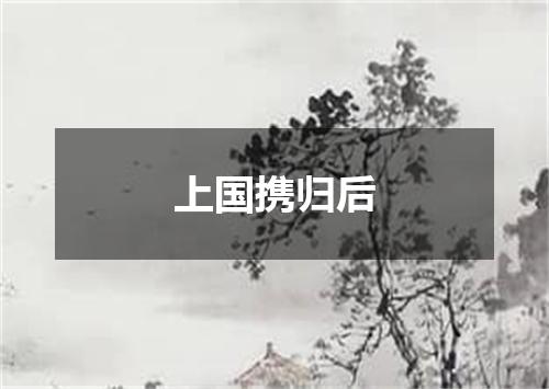 上国携归后