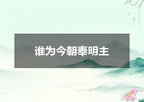 谁为今朝奉明主