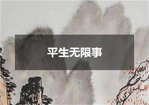 平生无限事