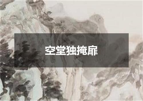 空堂独掩扉