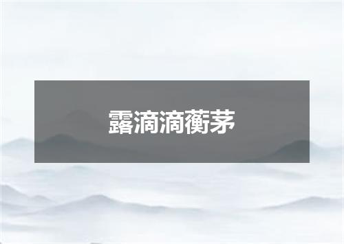 露滴滴蘅茅