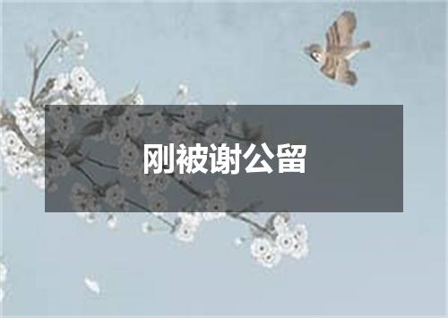刚被谢公留