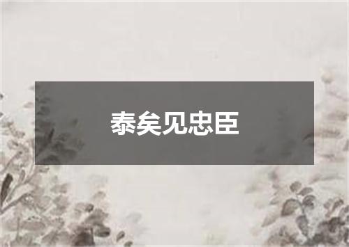 泰矣见忠臣