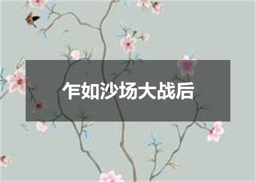 乍如沙场大战后