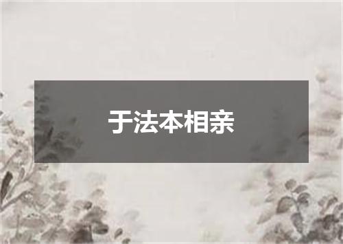 于法本相亲