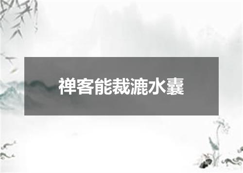 禅客能裁漉水囊