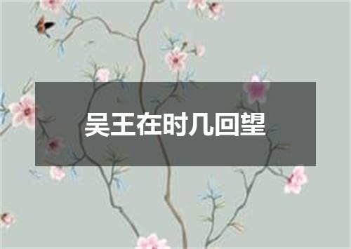 吴王在时几回望