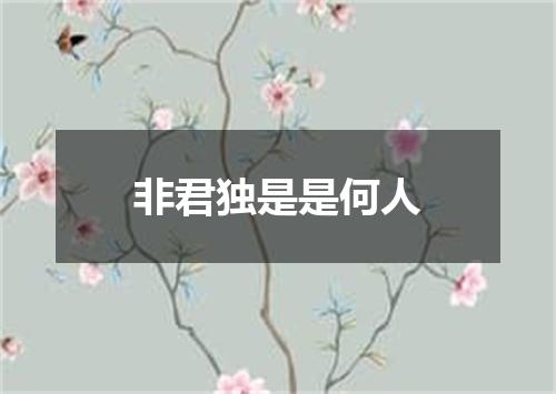 非君独是是何人