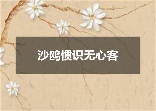 沙鸥惯识无心客
