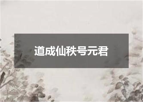 道成仙秩号元君