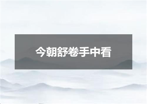 今朝舒卷手中看