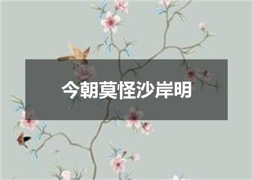 今朝莫怪沙岸明