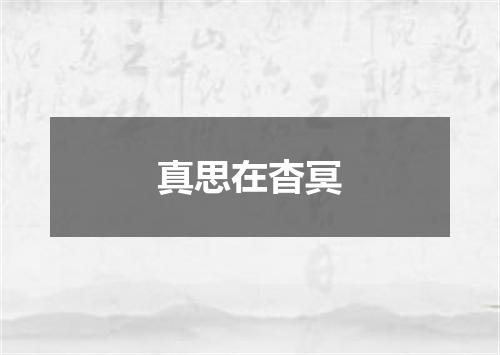 真思在杳冥