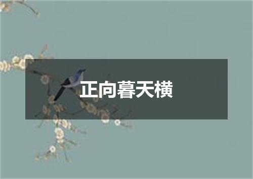 正向暮天横