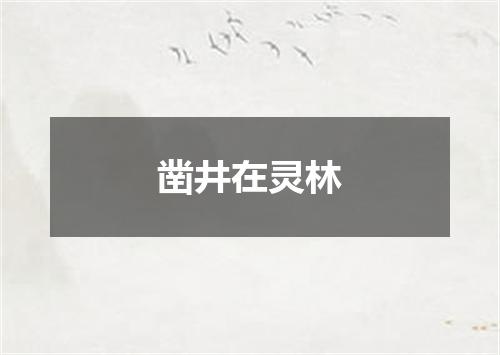 凿井在灵林