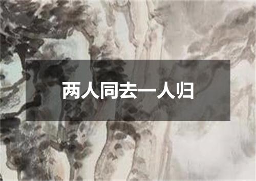 两人同去一人归