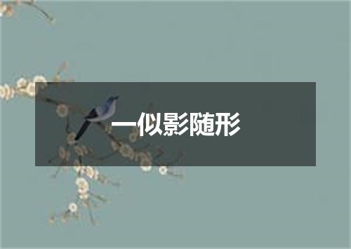 一似影随形